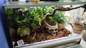 Террариум для змеи