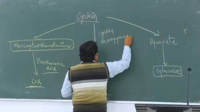 (19-02-24) 1st YEAR MBBS CLASS (23-24 SESSION) смотреть онлайн