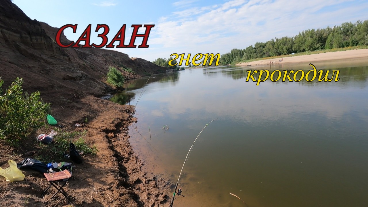 Ловим САЗАНА на жмых.Рыбалка с ночевкой в прилове СОМИК и несколько САЗАНОВ.Часть 2 смотреть онлайн