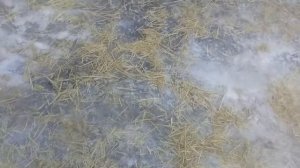 Гололед,машина буксует,вариант чем посыпать на всю зиму！