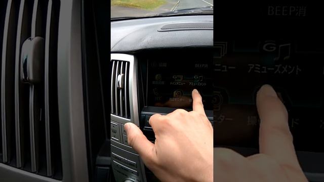 Harrier 2006 Touching Screen