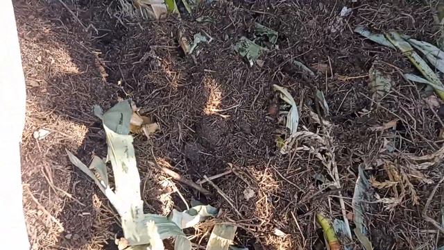 Компост.КОМПОСТНЫЙ ЯЩИК своими руками из поддонов(паллет) смотреть онлайн