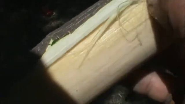 removing medicinal mimosa bark from a harvested branch смотреть онлайн