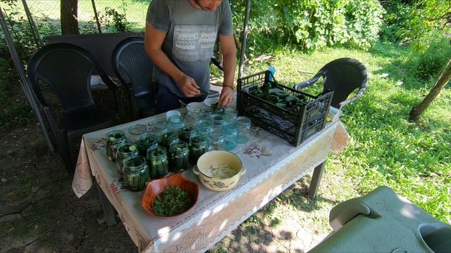 Как да си направим вкусни домашни кисели краставички. смотреть онлайн
