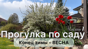 Обзор сада | Весна’23 | ХВОЙНЫЕ МНОГОЛЕТНИКИ ЛУКОВИЧНЫЕ КУСТАРНИКИ | Дневник садовода