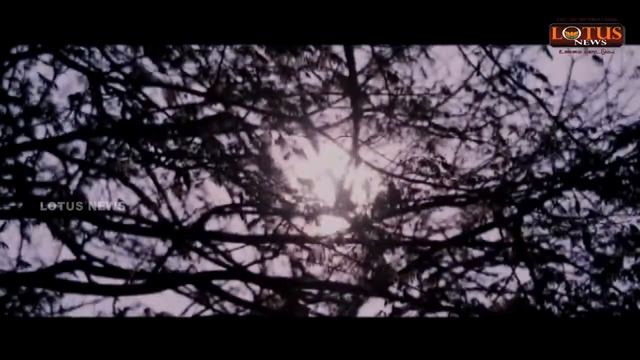 Lotus news cinema round up nagaraja cholan review 1 смотреть онлайн