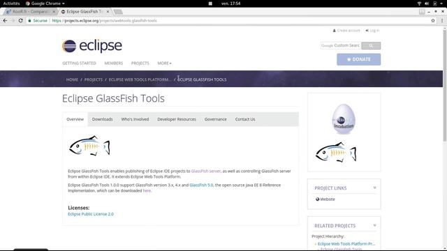 TUTO Java EE : Intégration Glassfish/Eclipse смотреть онлайн