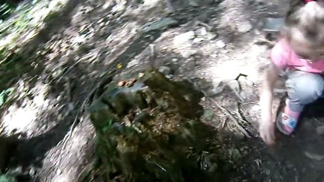 Кормим белочку в лесу Сходница - Западная Украина смотреть онлайн