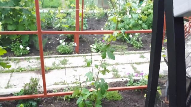 Мангал 3 в одном Ленивый шашлычник смотреть онлайн