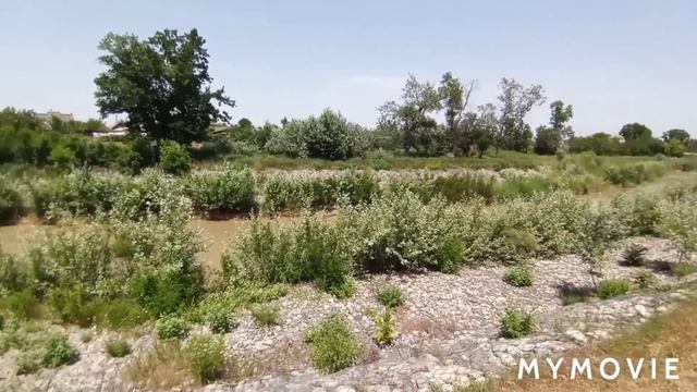 Очень сильная ЖАРА. Лимонад подорожал в 2 раза смотреть онлайн