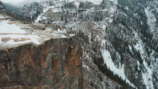 "Не жди, что тебя будет кто-то жалеть.." Жизненный стих.. смотреть онлайн