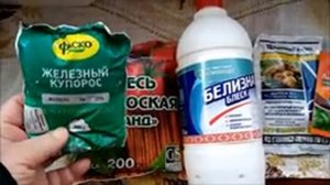 РОЗЫ. ОБРАБОТКА РОЗ ОТ ЗАБОЛЕВАНИЙ ПЕРЕД УКРЫТИЕМ НА ЗИМУ