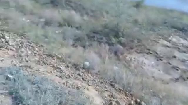 Видео о виде каньона речки Шыган Павлодарская область смотреть онлайн