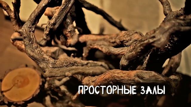 Ресторан в т/к Ареда-1 смотреть онлайн