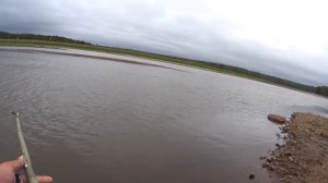 Как поймать рыбу без удочки ? Ловля дедовским способом-на петельку.