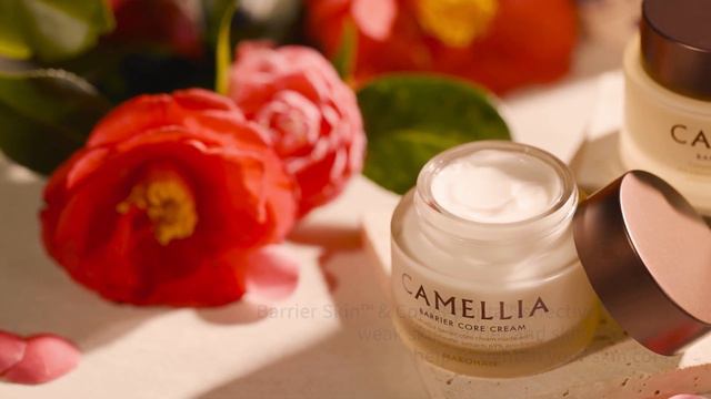 MAROHAN | MAROHAN CAMELLIA BARRIER CORE CREAM 마로한 카멜리아 베리어 코어 크림 смотреть онлайн