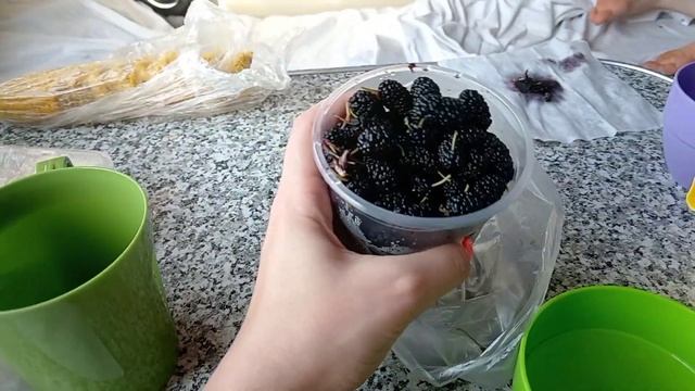 На море на поезде / едем в Лазаревское