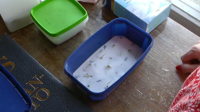 Сушка цветов для украшений смотреть онлайн