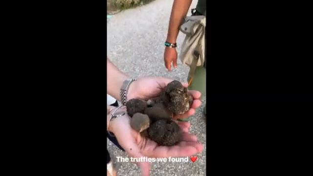 I Ferragnez in Umbria a caccia di tartufi: ecco come è andata смотреть онлайн