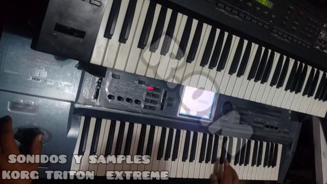 SONIDOS Y SAMPLES PARA EL KORG TRITON EXTREME- DEMOSTRACION DE SONIDOS... смотреть онлайн