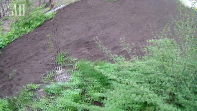 Что растет у нас на огороде смотреть онлайн