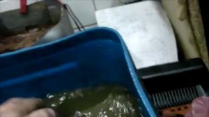 Очистка ржавчины щавелевой кислотой