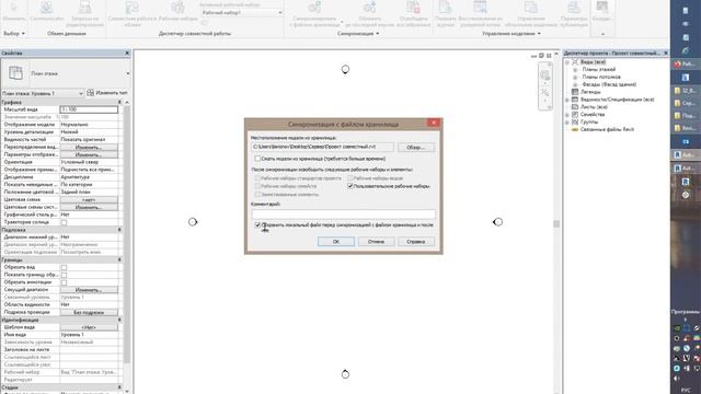 Revit - Совместная работа, Создание файлов хранилищ смотреть онлайн