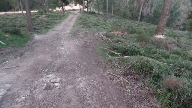 04.03.18 Природа и жизнь.Подари мне солнце...-поделюсь я с вами! смотреть онлайн