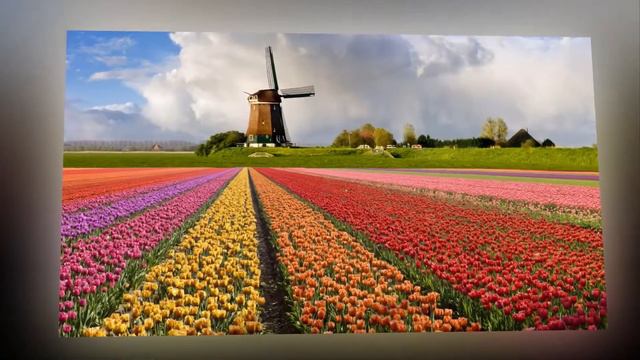 Весна, весна на улице смотреть онлайн