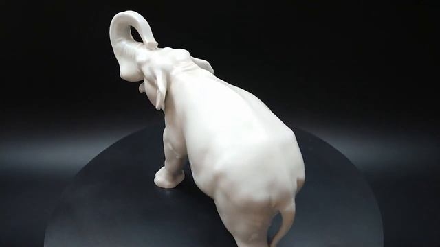 "Слоны" - стихи Веры Бутко смотреть онлайн