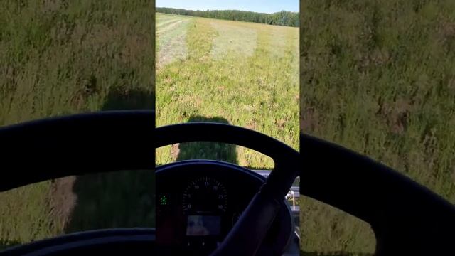 КПС МЕЩЕРА Е-403 первый сенокос,первые впечатления.