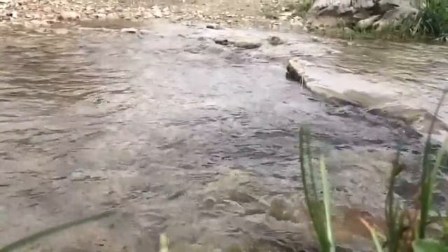 Очень красивое видео про природу|горы|природа😍|priroda Nature Beatiful