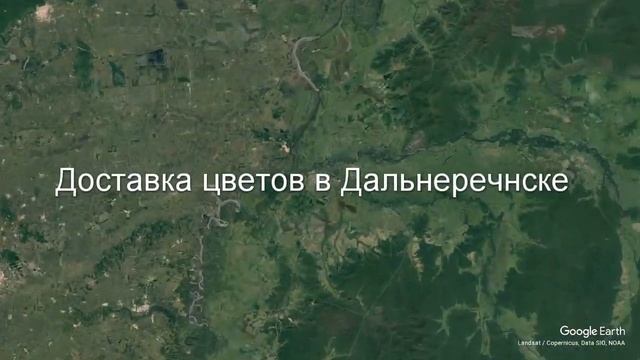 Доставка цветов в Дальнереченске - Заказ букетов от компании Скорая подарочная помощь смотреть онлайн