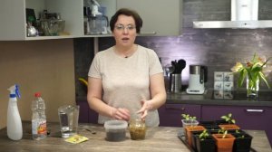 КАК ПИКИРОВАТЬ ПЕРЕЦ? Смотрите самый надежный способ пикировки перца.