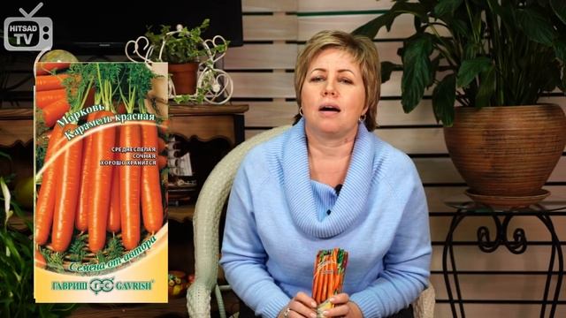 Семена моркови ? Лучшие сорта моркови и новинки сезона ? Агрофирма ГАВРИШ смотреть онлайн