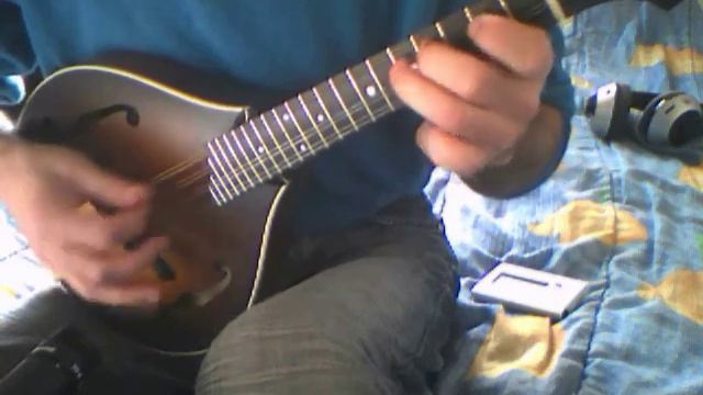 Mandolin tunes. Swallowtail jig смотреть онлайн