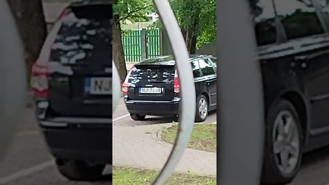 271.ставьте машины всегда "мордой"или боком к нам, летит в окна и масло бензопилы за50-100м от нас смотреть онлайн