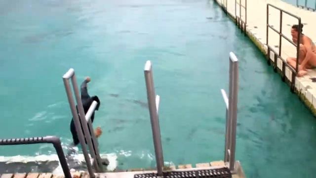 дрессированная рыбка смотреть онлайн