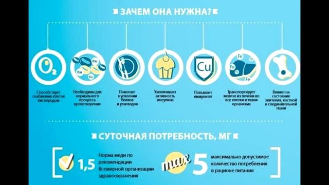 Роль меди в организме человека смотреть онлайн