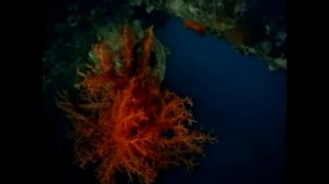 1 Одиссея Жака Кусто_ Мир Тишины (1956)