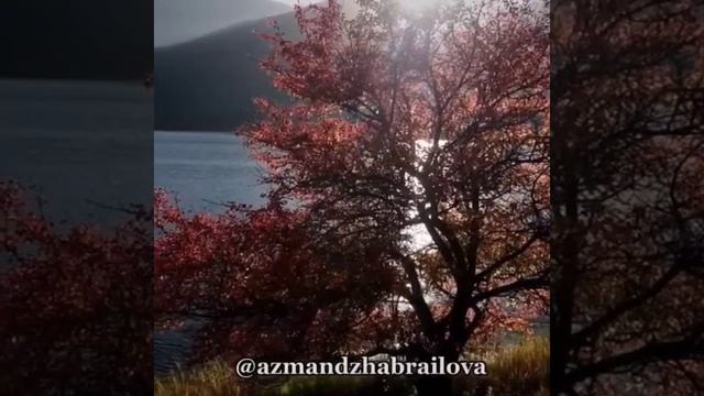 Красивый стих А. Джабраиловой "Кавказ" смотреть онлайн