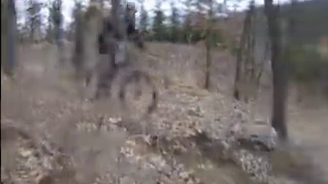 berva 2 смотреть онлайн