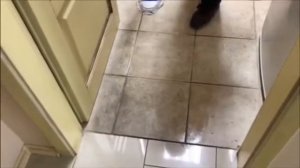 Как почистить пористый напольный кафель