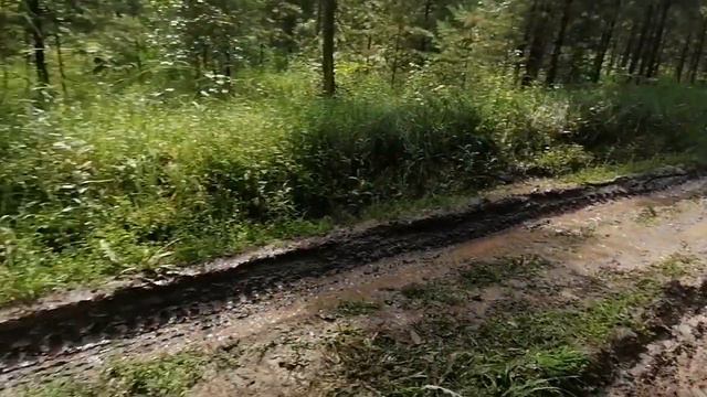 на Пихтовый гребень, на велике, дорога после дождя, везде вода стоит, пришлось вернуться 23.07.2023 смотреть онлайн