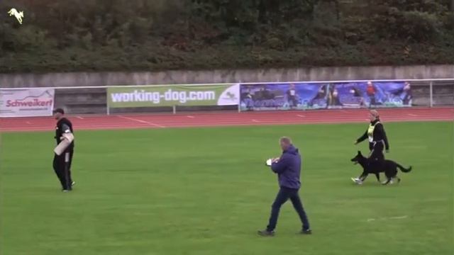 Kim vom Speedteam Bodensee смотреть онлайн