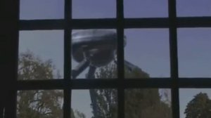 5 ТРЕНОЖНИКОВ СНЯТЫХ НА КАМЕРУ - Lion Channel