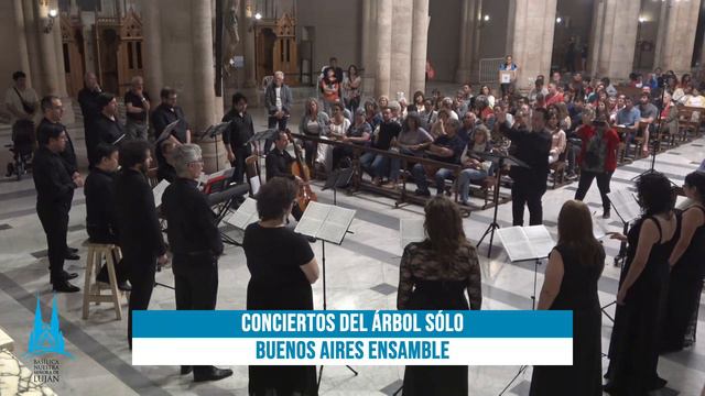 CONCIERTOS DEL ÁRBOL SÓLO - 29 de octubre de 2023. смотреть онлайн