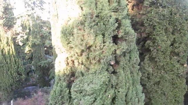 Мистическая Ялта. Обзор города с вагончика канатной дороги+маленький рассказ смотреть онлайн