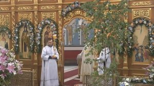 Божественная литургия в Троицкую родительскую субботу