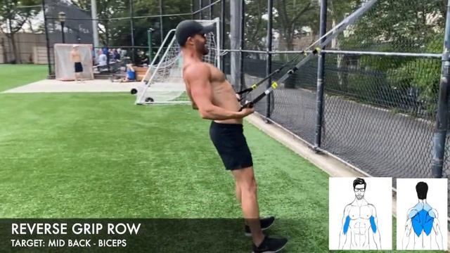 12 TRX / SUSPENSION TRAINER BACK EXERCISES AND WHAT MUSCLES THEY TARGET смотреть онлайн